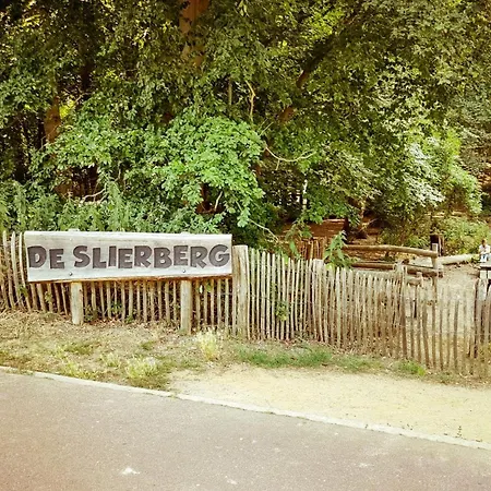 Sirenetta * دي هان